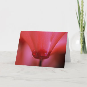 Roze Heet Wenskaart Kaart