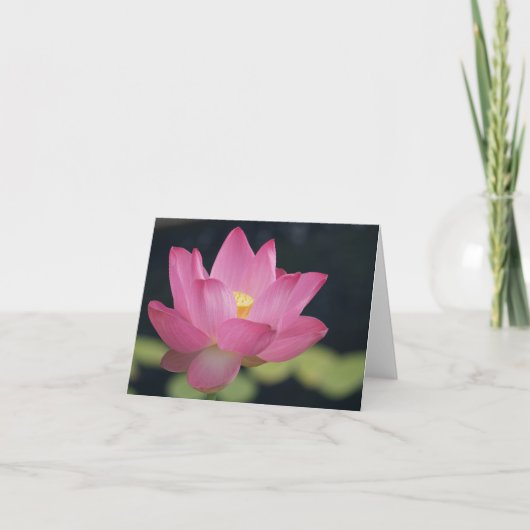Roze heilige lotus bloem notitiekaart (Voorkant)