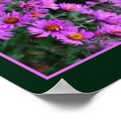 Roze Herfst Aster Flowers Orton Abstract Poster (Hoek)