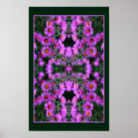 Roze Herfst Aster Flowers Orton Abstract