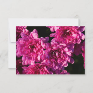 Roze Herfst Mums Notitiekaartje