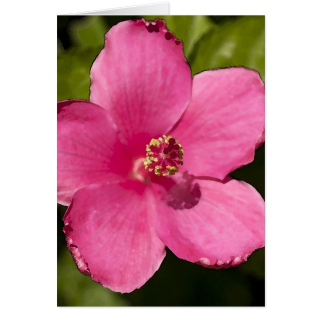 Roze Hibiscus (Voorkant)