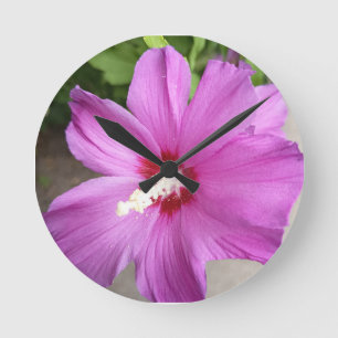 Roze Hibiscus Bloem Bloem Rond Wandklok Ronde Klok