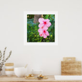 Roze Hibiscus bloemen Poster (Keuken)