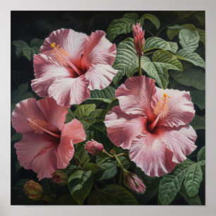 Roze Hibiscus Bloemenkunst Print Poster