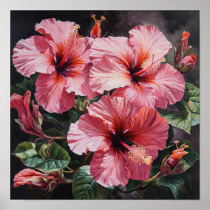 Roze Hibiscus Bloemenkunst Print Poster