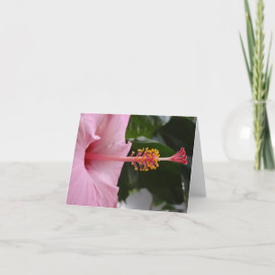 Roze Hibiscus-briefkaart Kaart