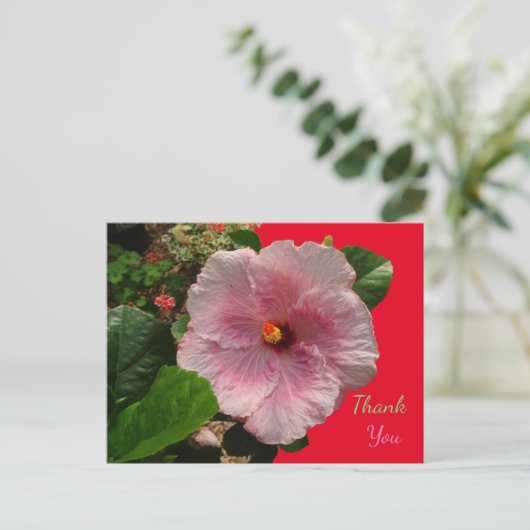 Roze Hibiscus Dank Je Postkaart (Staand voorkant)