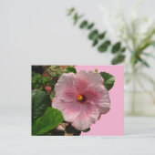 Roze Hibiscus DIY Briefkaart (Staand voorkant)