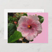 Roze Hibiscus DIY Briefkaart (Voorkant / Achterkant)