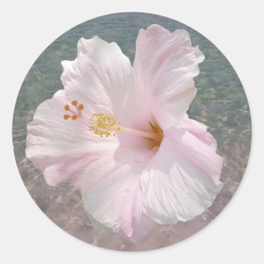 Roze Hibiscus en Ocean Water Sticker (Voorkant)