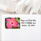  Roze Hibiscus Etiket (Insitu)