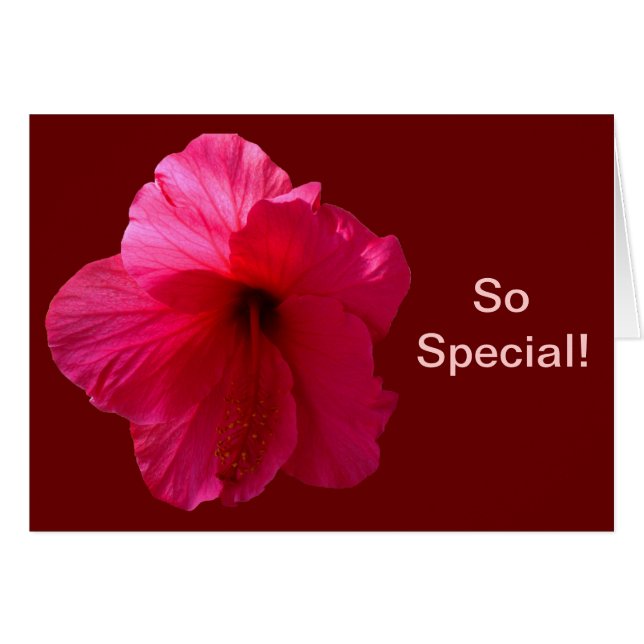 Roze Hibiscus Flower (Voorkant Horizontaal)