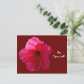 Roze Hibiscus Flower Briefkaart (Staand voorkant)