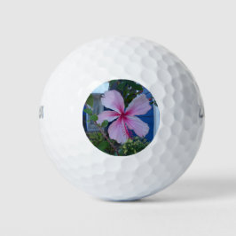 Roze hibiscus flower en een blauwe strandwand golfballen