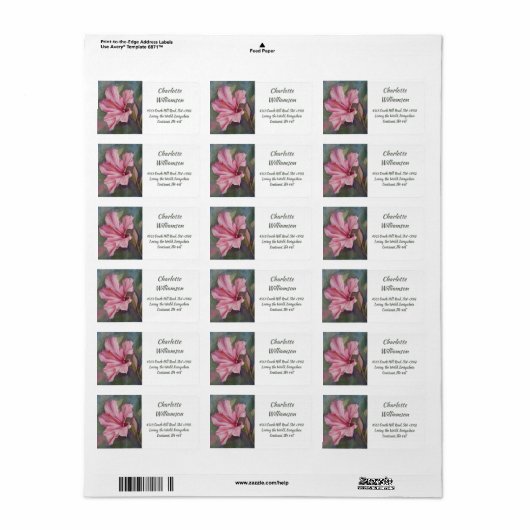 Roze Hibiscus Flower in Waterverf Address Etiket (Full Sheet)