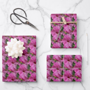 Roze Hibiscus Flower Natuur Inpakpapier Vel