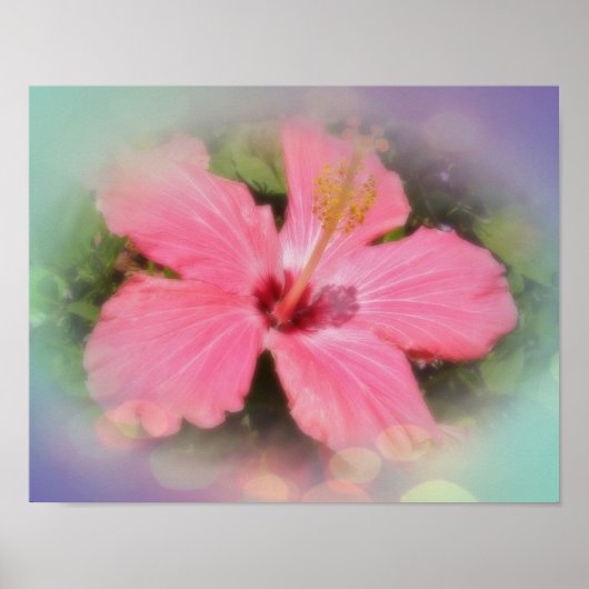 Roze Hibiscus Flower Poster (Voorkant)