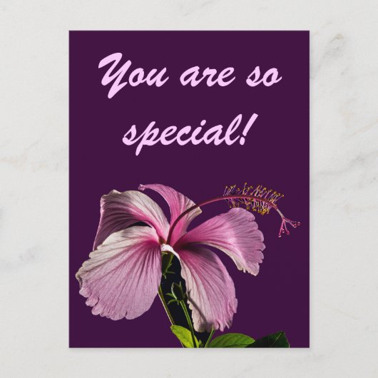 Roze Hibiscus Flower Side Uitzicht Briefkaart (Voorkant)