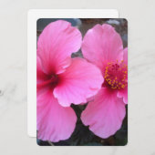 Roze Hibiscus Flowers (Voorkant / Achterkant)