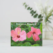 Roze Hibiscus Flowers Briefkaart (Staand voorkant)