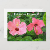 Roze Hibiscus Flowers Briefkaart (Voorkant / Achterkant)