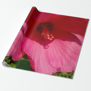 Roze Hibiscus-fotopapier met onmiddellijke verpakk Cadeaupapier
