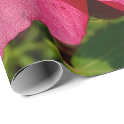 Roze Hibiscus-fotopapier met onmiddellijke verpakk Cadeaupapier (Rol Hoek)