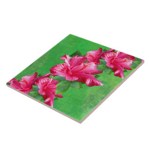 Roze Hibiscus Lei Tile Tegeltje