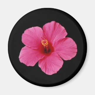 Roze Hibiscus Magneet