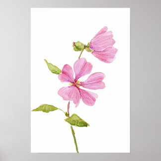 roze hibiscus moscheutos, moerasroos poster
