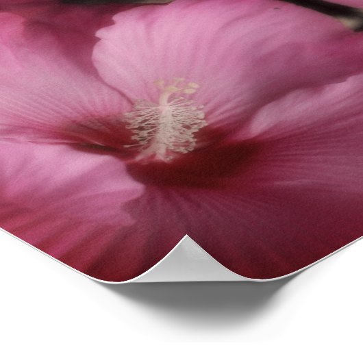 Roze Hibiscus Partiële Kleur Abstract Poster (Hoek)