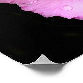 Roze Hibiscus Poster (Hoek)