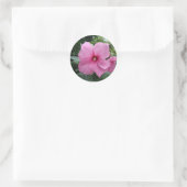 Roze Hibiscus Ronde Sticker (Tas)