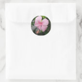 Roze Hibiscus Stickers (Tas)