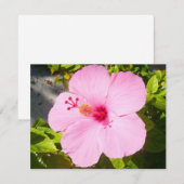 Roze Hibiscus Tropische Bloem (Voorkant / Achterkant)