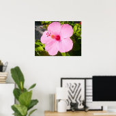 Roze Hibiscus Tropische Bloem Poster (Thuiskantoor)