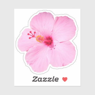 Roze Hibiscus Tropische Bloem Sticker