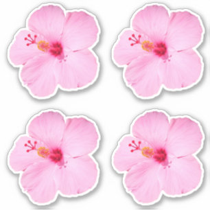 Roze Hibiscus Tropische Bloem Sticker