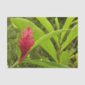 Roze Hibiscus Tropische Bloem Tissuepapier (Voorkant)