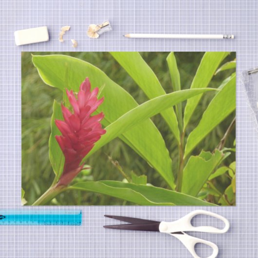 Roze Hibiscus Tropische Bloem Tissuepapier (Craft)