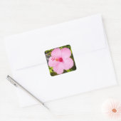 Roze Hibiscus Tropische Bloem Vierkante Sticker (Envelop)