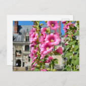 Roze hollyhocbloemen briefkaart (Voorkant / Achterkant)