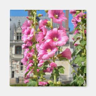 Roze hollyhocbloemen briefkaart vierkant sticker T Magneet