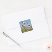 Roze hollyhocbloemen vierkante sticker (Envelop)