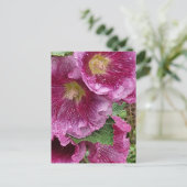 Roze hollyhock briefkaart (Staand voorkant)