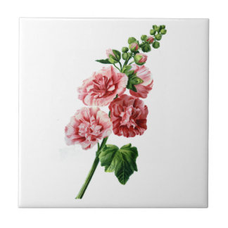 Roze Hollyhock getekend uit de Natuur Tegeltje