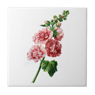 Roze Hollyhock getekend uit Natuur Tegeltje