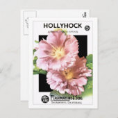roze Hollyhock Seed Packet Briefkaart (Voorkant / Achterkant)