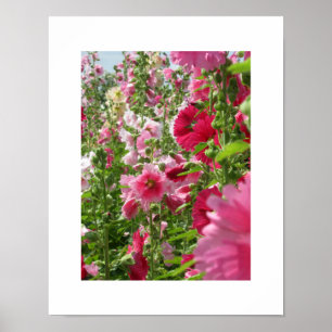Roze Hollyhocks: Japan Poster